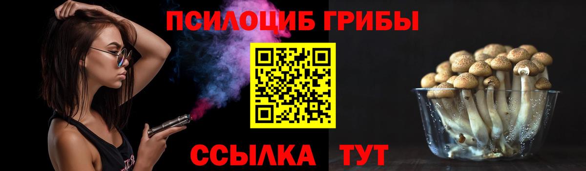Псилоцибиновые грибы мицелий Урай